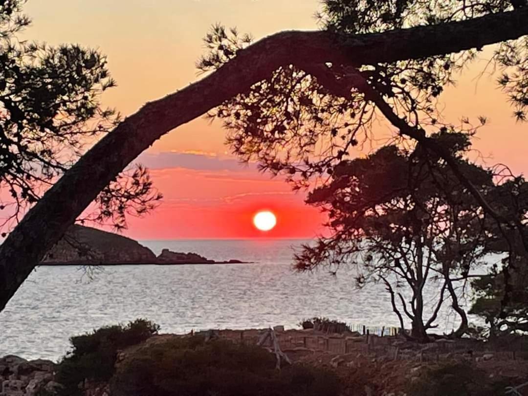 Villa Cocody Bandol Exteriör bild