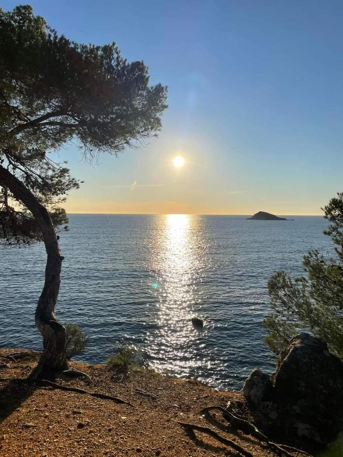 Villa Cocody Bandol Exteriör bild