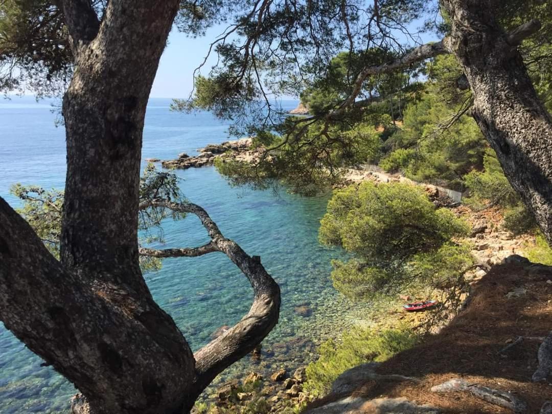 Villa Cocody Bandol Exteriör bild